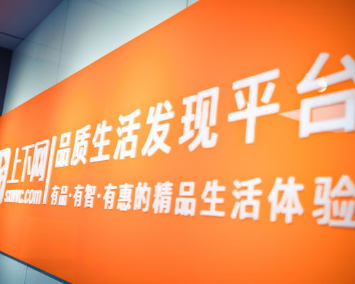 浙江上下网络科技与聪蓉网络科技 创新与协同的数字化实践